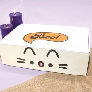 XS Pusheen fall halloween box 2021